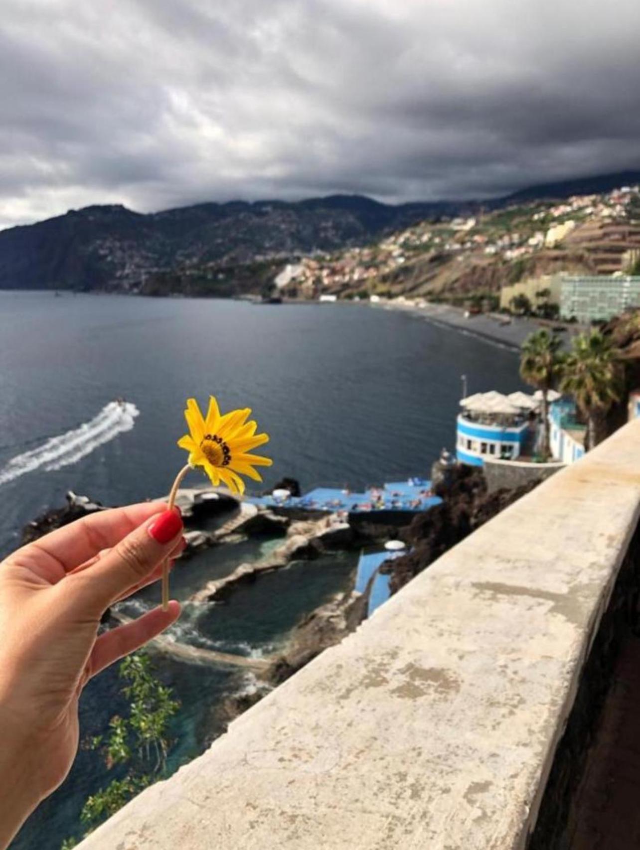 Madeira Residence Apartments T2 Funchal  Bagian luar foto